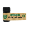 LÁSKA 52 Viola odorata