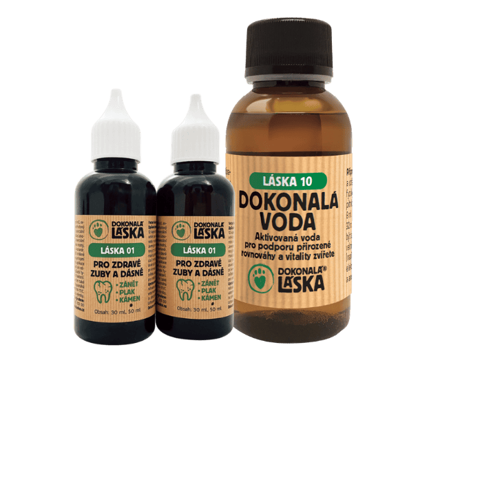 Dokonalá Láska Zvýhodněný balíček LÁSKA 01 + LÁSKA 10 - ZUBY A DÁSNĚ - Péče a ochrana proti bakteriím XL