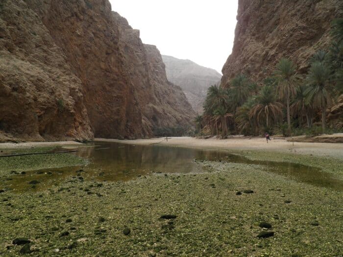 Ománská divočina
