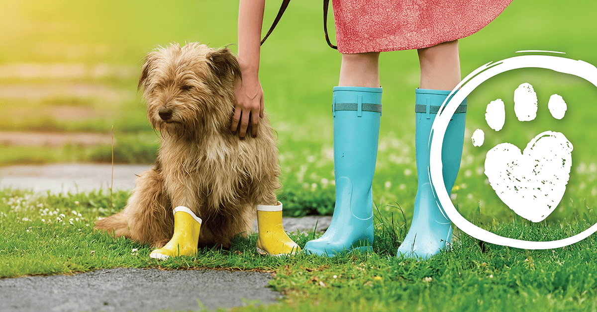 podzim tlapkám sluší