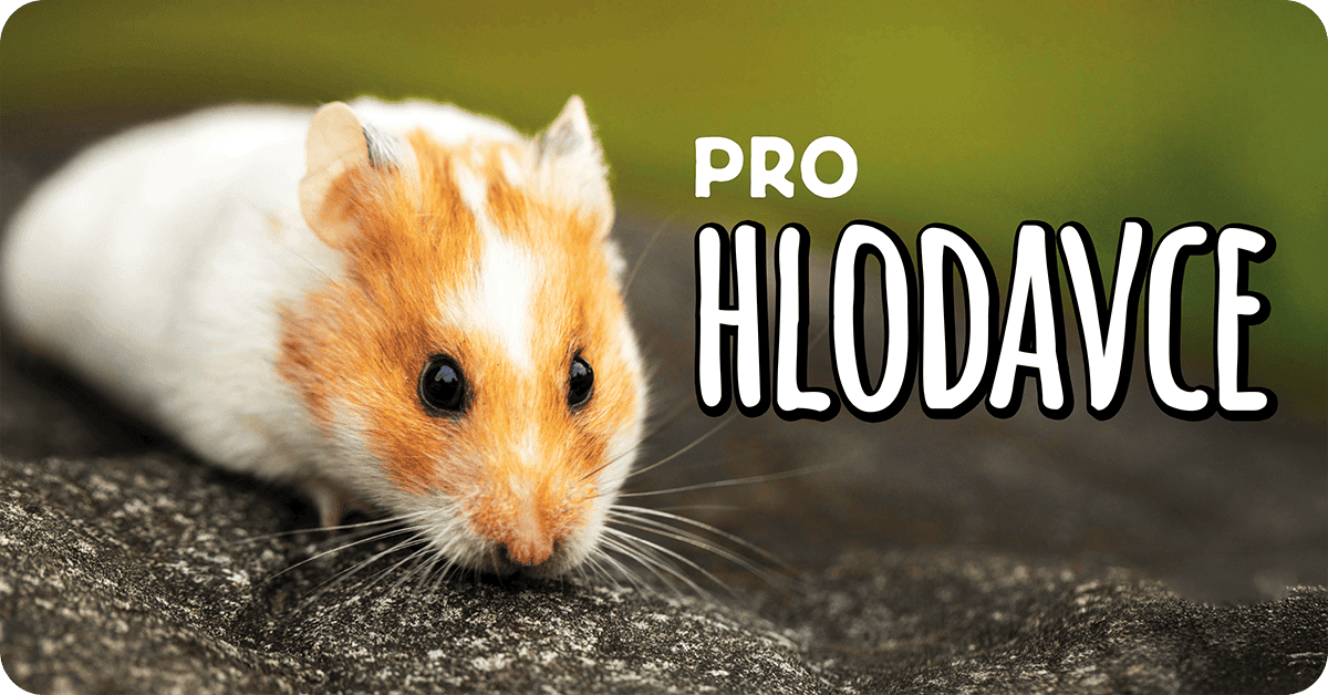 Kategorie hlodavci