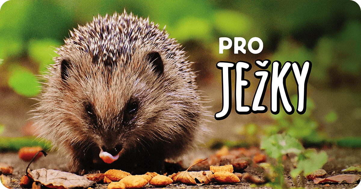 Kategorie ježci