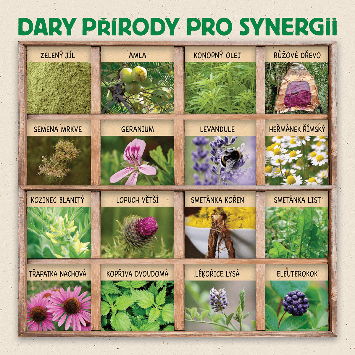 Synergie dary přírody