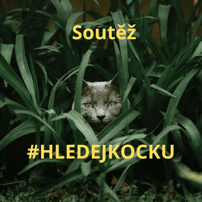 Soutěž srpen