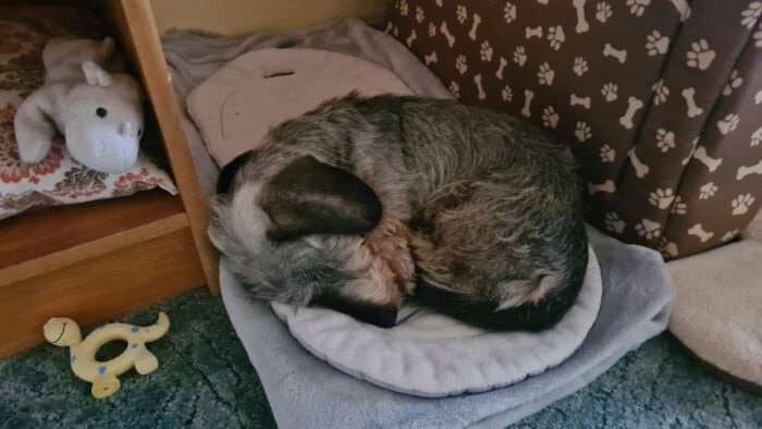 Image #1 from Zdena Uhlířová