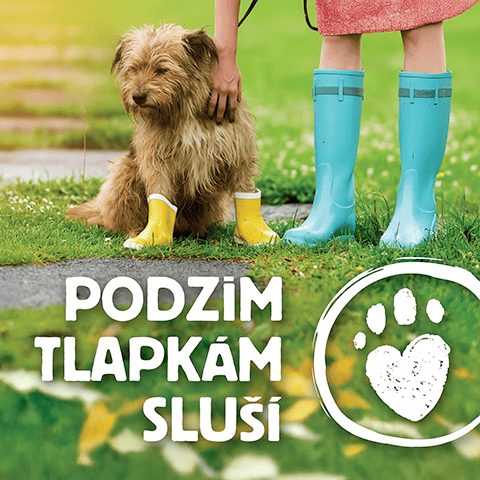 Podzim