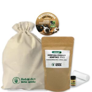 Kúra před  Silvestrem - předcházení strachu - úleva - BONUS - obinadlo a mp3 ZDARMA