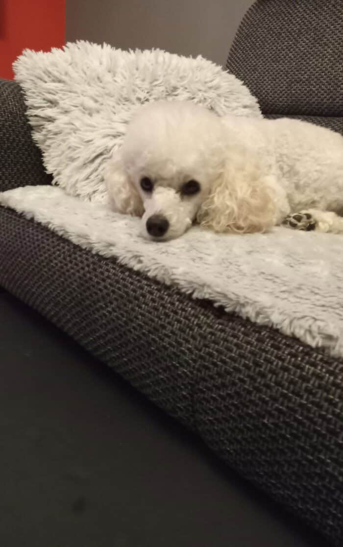 Image #1 from Marie Friebrová