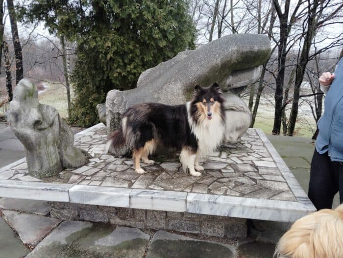 Image #1 from Vlasta Bártová