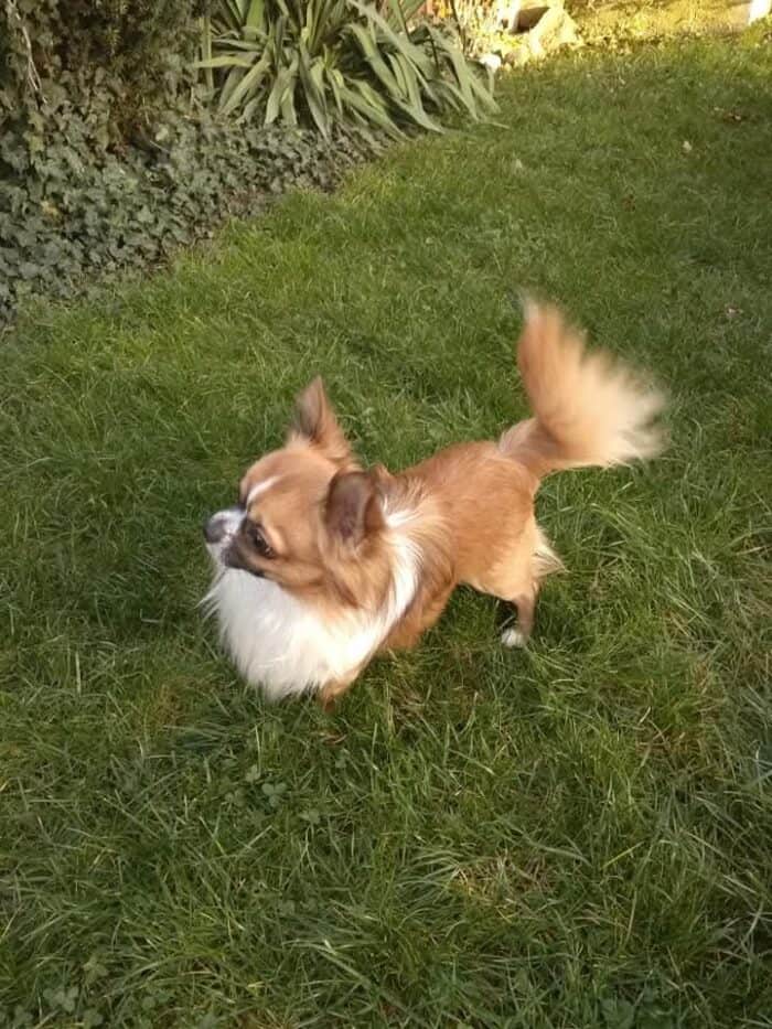 Image #1 from Krista B.