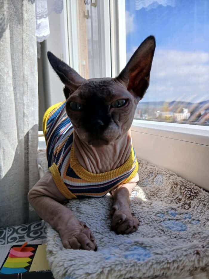 Image #1 from Zdenka Prošková